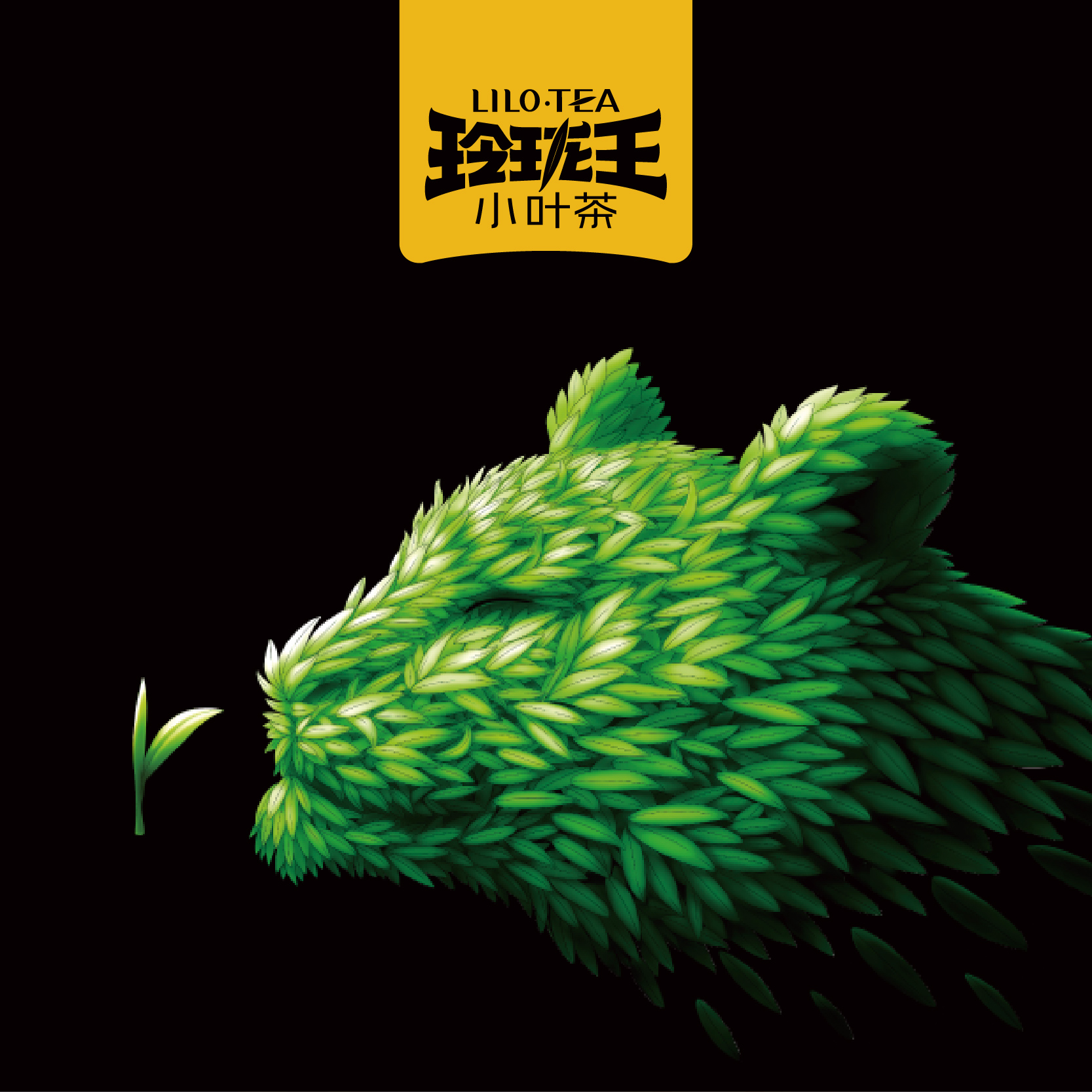 玲珑王小叶茶品牌全案策划